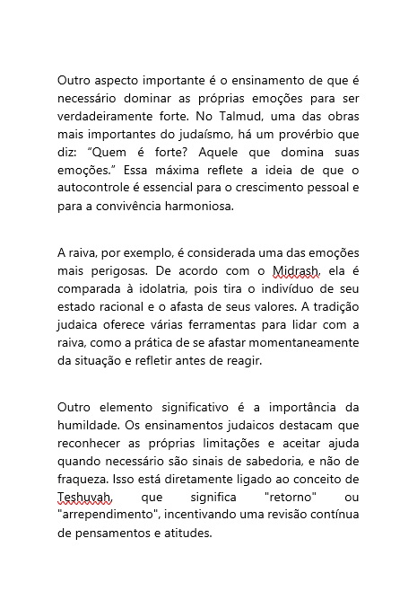 imagem8